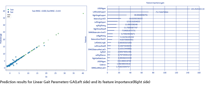 Prediction results for Linear Gait Parameters-GA(Left side) and its feature importance(Right side)